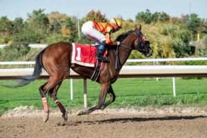 Read more about the article Kentucky Derby 2023—Raise Cane will win!